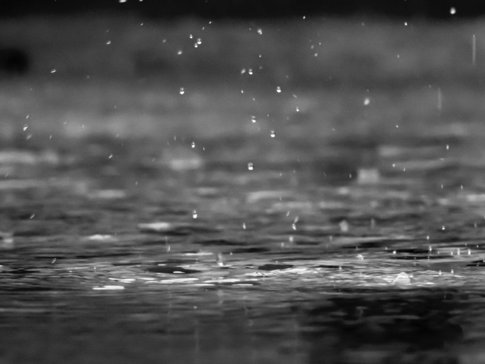 Featured image for “How to Manage Rainfall and Leachate on Compost Piles”
